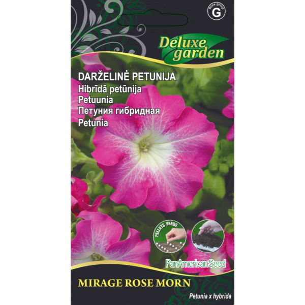 DARŽELINĖ PETUNIJA MIRAGE ROSE MORN kilimėlyje