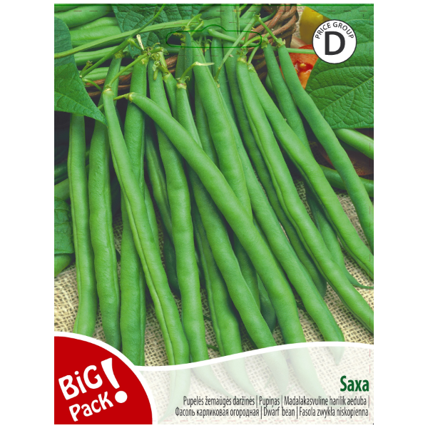 Pupelės žemaūgės daržinės Saxa 20g 07819