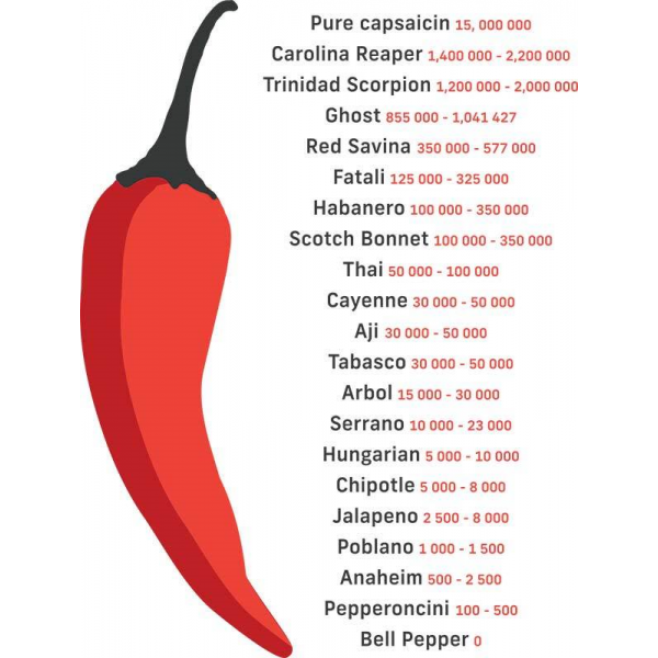 Vienametės paprikos Trinidad Moruga Scorpion (aštri)