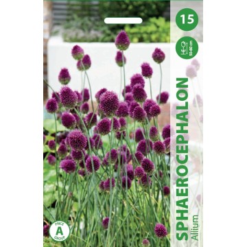 Česnakai Kiaušininiai...