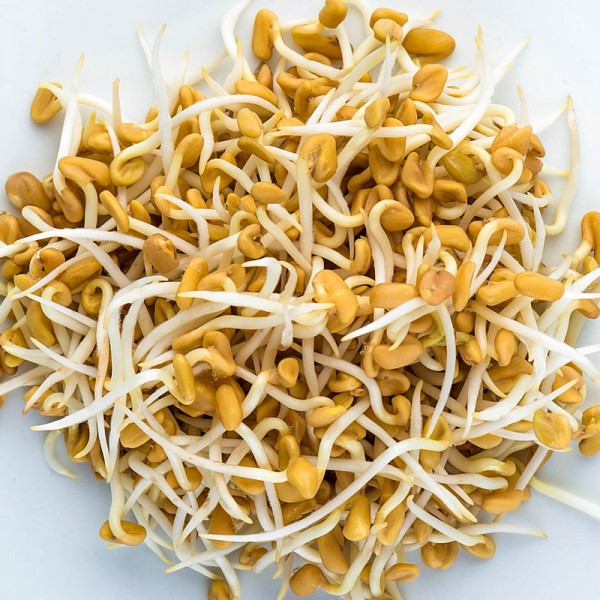 Sėklos daigams Vaistinės ožragės 10g (FENUGREEK)