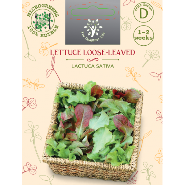 Sėklos daigams Sėjamosios salotos Red salad bowl 5g (LETUCCE LOOSE-LEAVED)
