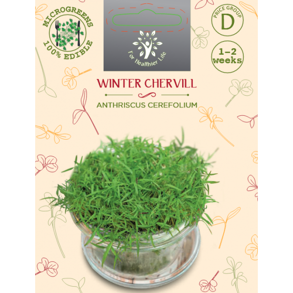 Sėklos daigams Daržinis builis 10g (ANTHRISCUS CEREFOLIUM)