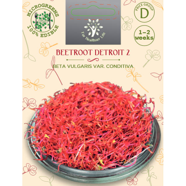 Sėklos daigams Raudonasis burokėlis Detroit 2 15g (BEETROOT DETROIT 2)