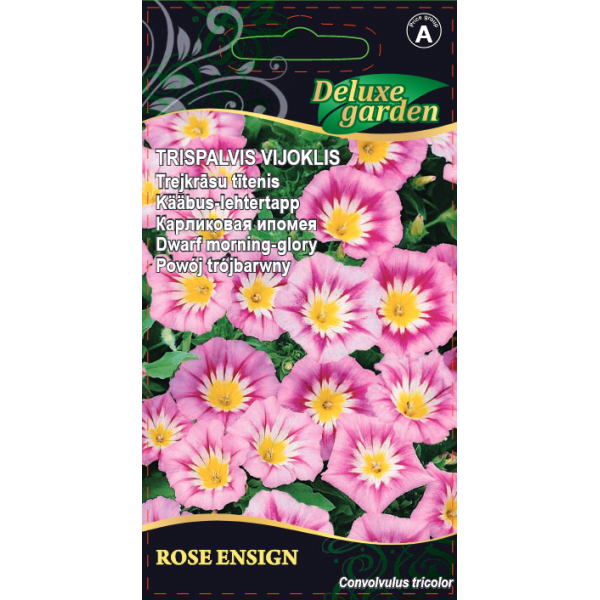 Trispalvis vijoklis Rose Ensign 1g