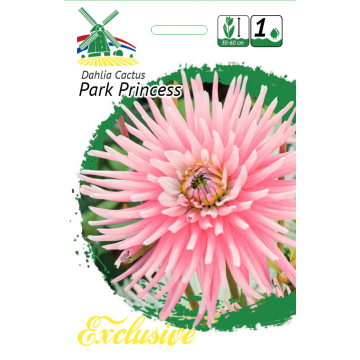 Exclusive Jurginai Park...