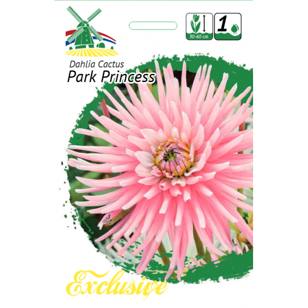 Exclusive Jurginai Park Princess 1vnt