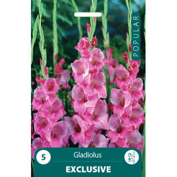 POPULAR KARDELIAI EXCLUSIVE...