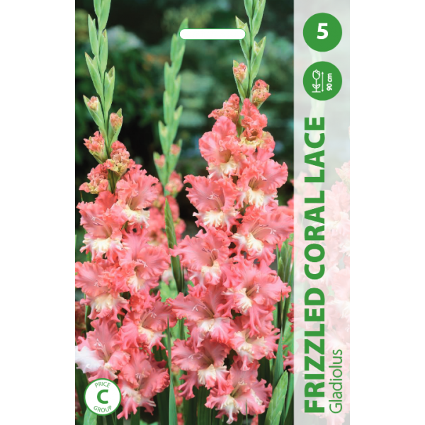 KARDELIAI FRIZZLED CORAL LACE