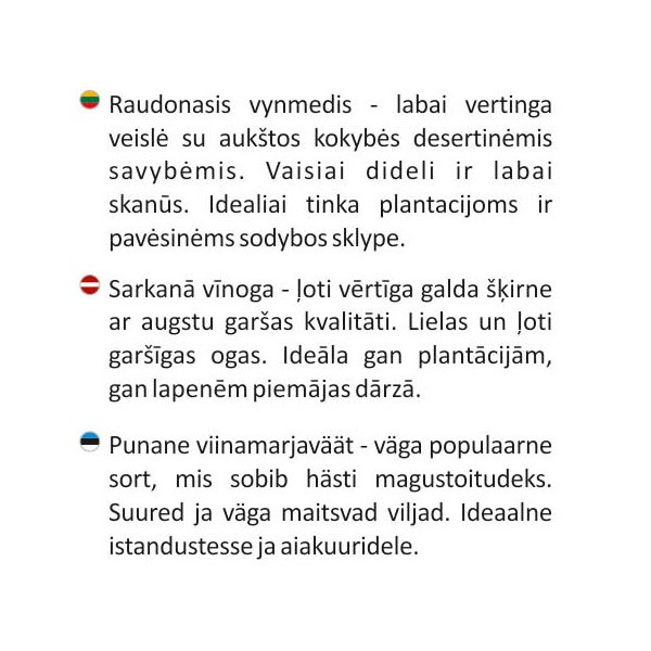 Vynmedis raudonasis Swenson Red vazonėlyje