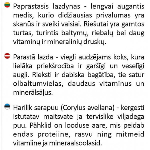 Paprastasis lazdynas (plikašaknis)