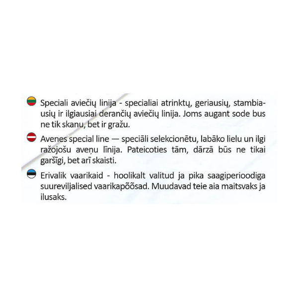 Avietė Raudonoji Special line dviderlė vazonėlyje