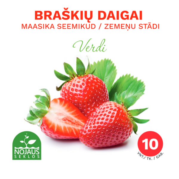 10vnt Verdi Braškės Frigo Ankstyvos