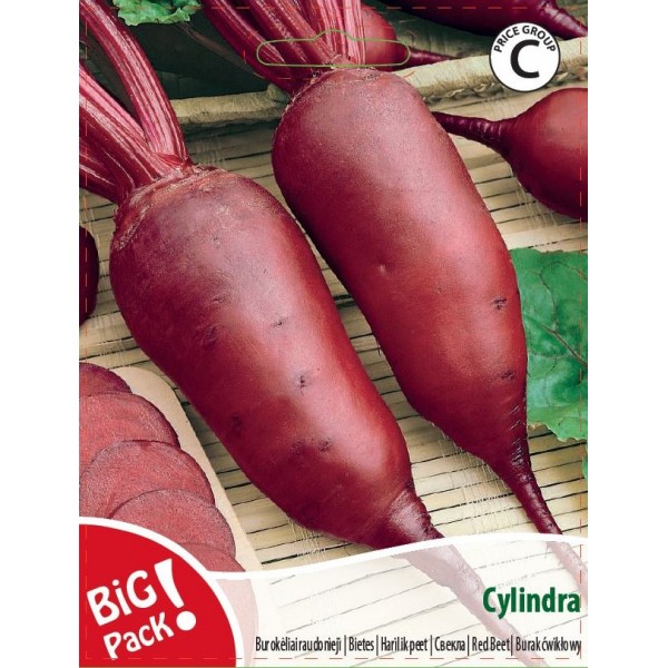 Burokėliai raudonieji Cylindra 10g