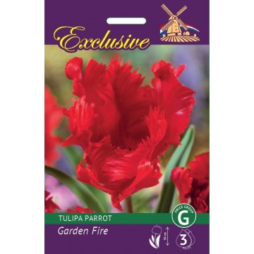 TULPĖS EXCLUSIVE GARDEN FIRE