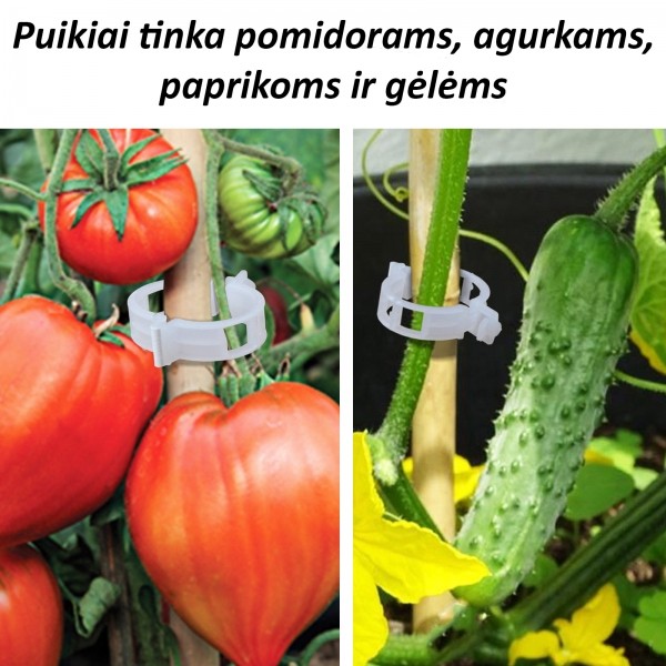 Pomidorų segtukai 50vnt.