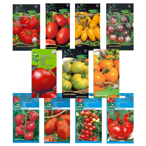 11 - os rūšių unikalus pomidorų sėklų rinkinys