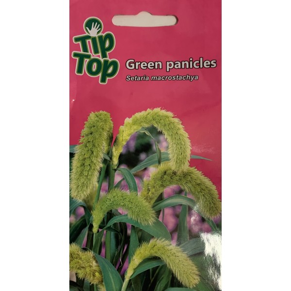 TIP TOP Šerytė stambiavarpė Green panicles 0.2g