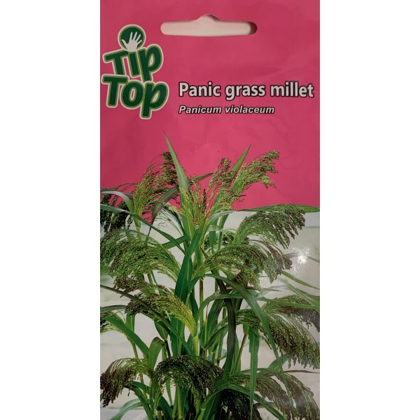 TIP TOP Panikos žolė Panic grass millet 0.1g