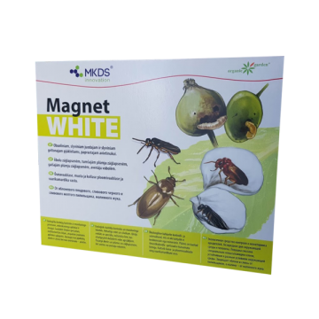 Magnet WHITE slyviniam...