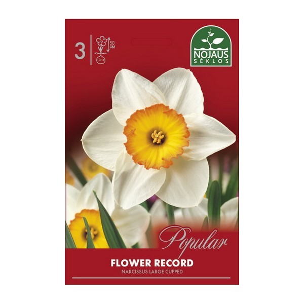 Narcizai Flower Record 12/14 3 sv.