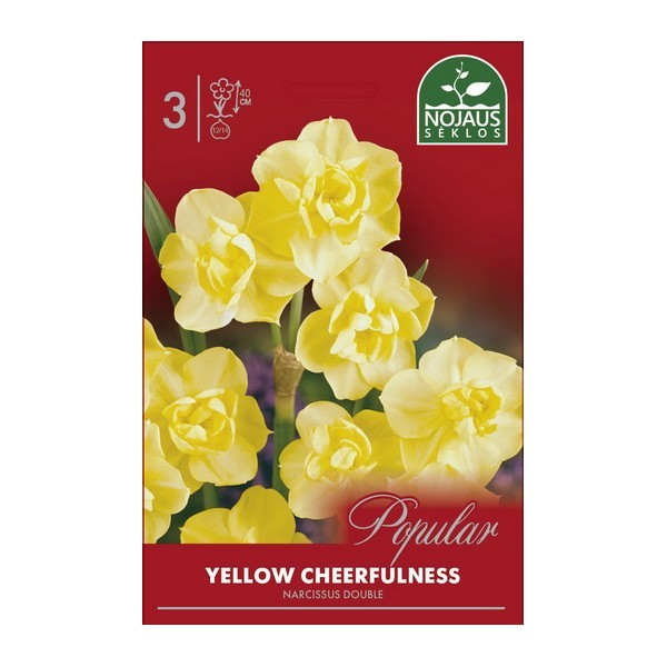 Narcizai Yellow Cheerfulness 12/14 3 sv.