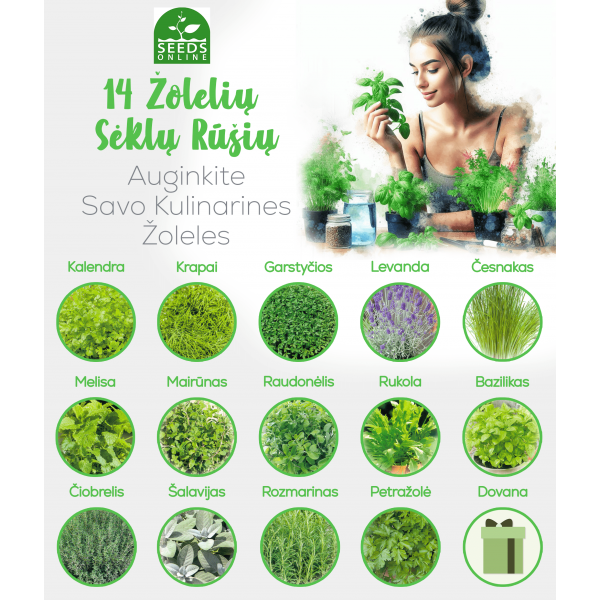 14 - OS RŪŠIŲ ŽOLELIŲ SĖKLŲ RINKINYS