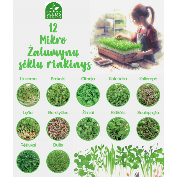 12 - OS RŪŠIŲ MIKROŽALUMYNŲ SĖKLŲ KOLEKCIJA