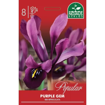 POPULAR VILKDALGIAI PURPLE...