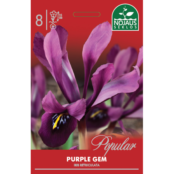 POPULAR VILKDALGIAI PURPLE GEM 8 sv.