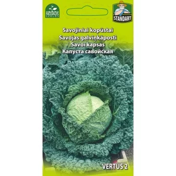 SAVOJOS KOPŪSTAI VERTUS 2