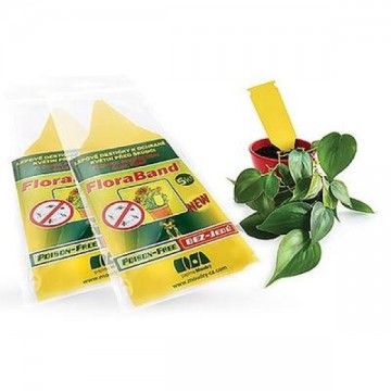 FLORABAND Lipni vabzdžių...