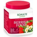 Schultz braškių ir vaiskrūmių trąšos BERRIES FOOD 900g