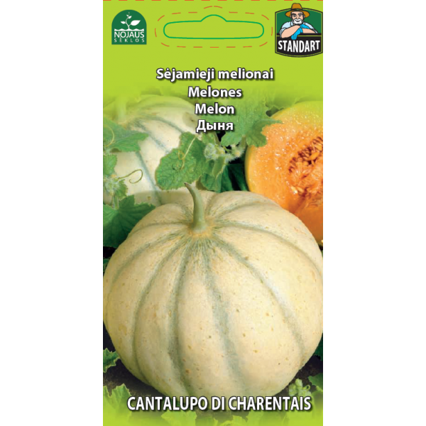 Melionai Cantalupo di Charentais