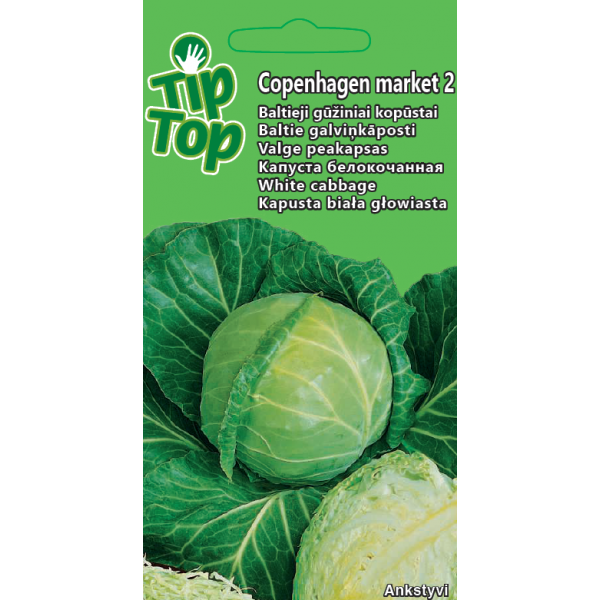 Kopūstai baltieji gūžiniai 'Copenhagen Market 2'