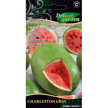 Tikrasis arbūzas Charleston...
