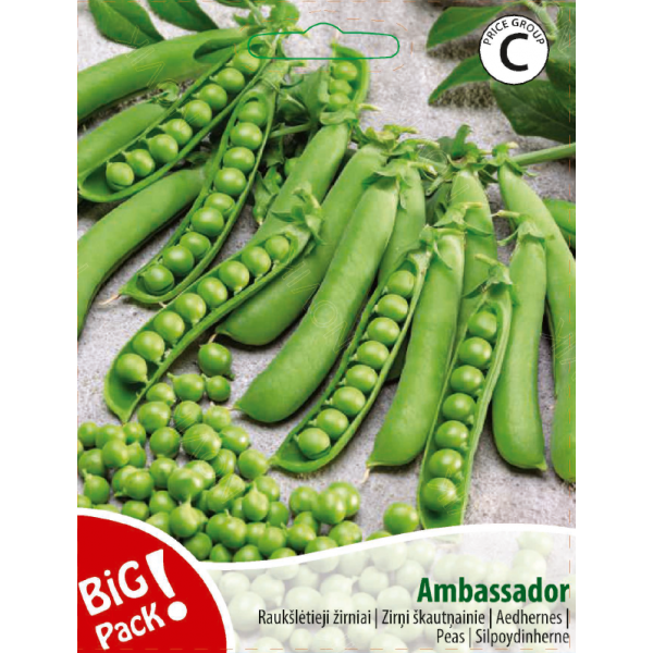 Žirniai raukšlėtieji Ambassador 20g BIG PACK