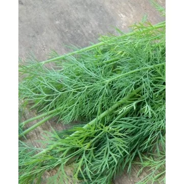 KRAPAI MAMMOTH 500g