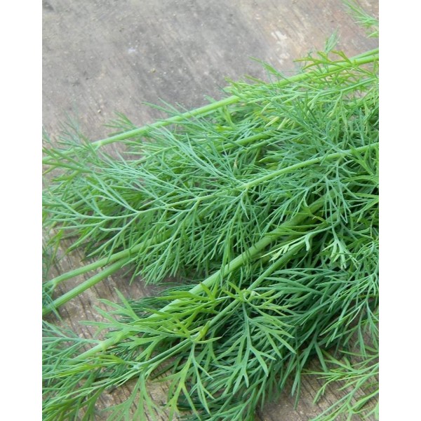 KRAPAI MAMMOTH 500g