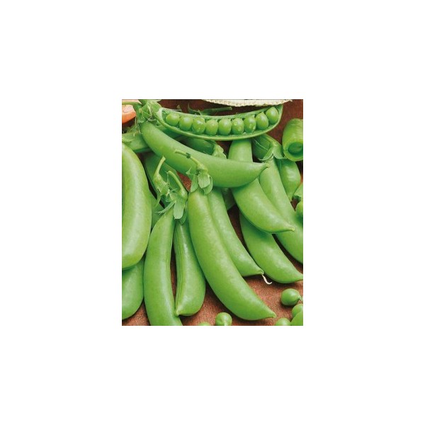 Žirniai raukšlėtieji Ambrosia 1kg