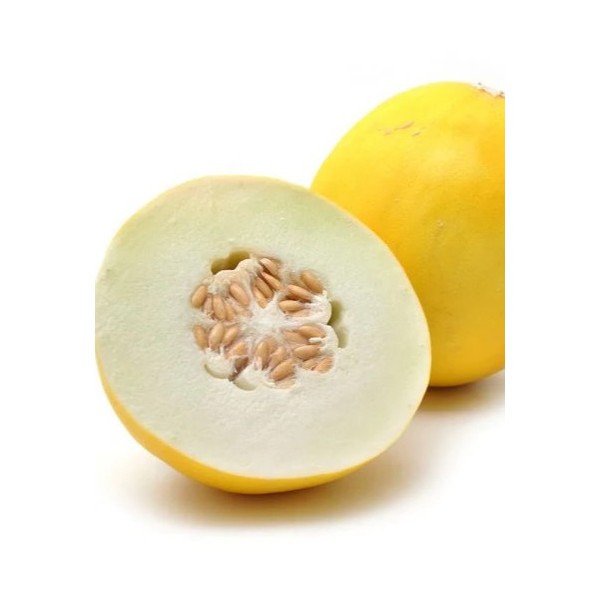 Melionai Honey Dew TipTop