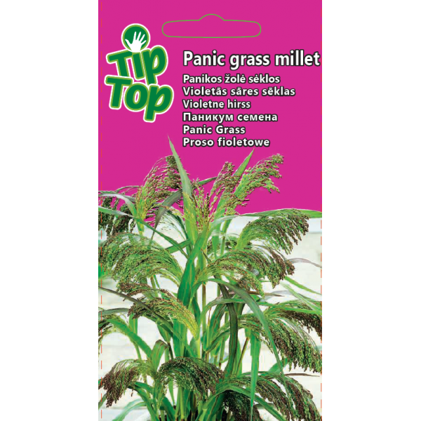 TIP TOP Panikos žolė Panic grass millet 0.1g