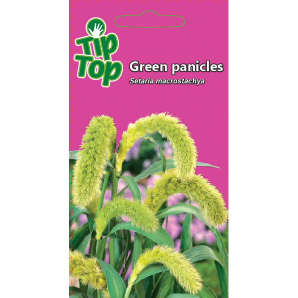 TIP TOP Šerytė stambiavarpė Green panicles 0.2g