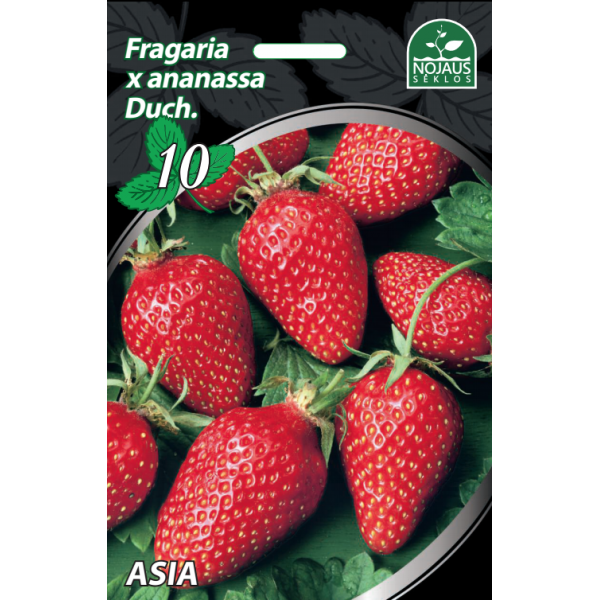 Braškių daigai FRIGO Asia 10vnt
