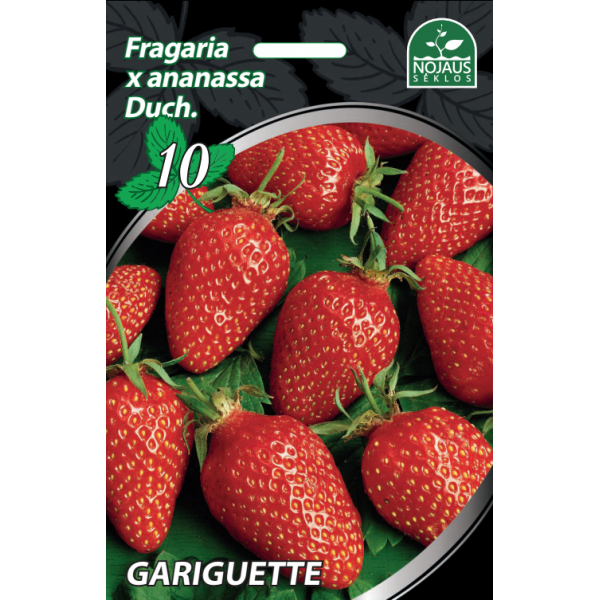 Braškių daigai FRIGO Gariguette 10vnt