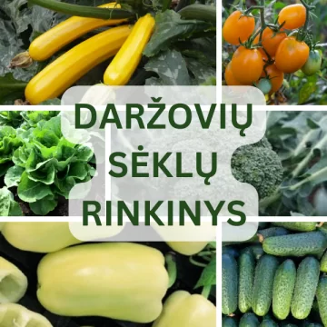 Daržovių sėklų rinkinys...