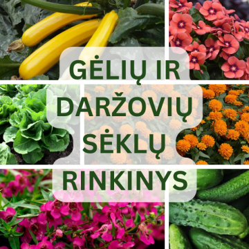 Gėlių ir daržovių sėklų...