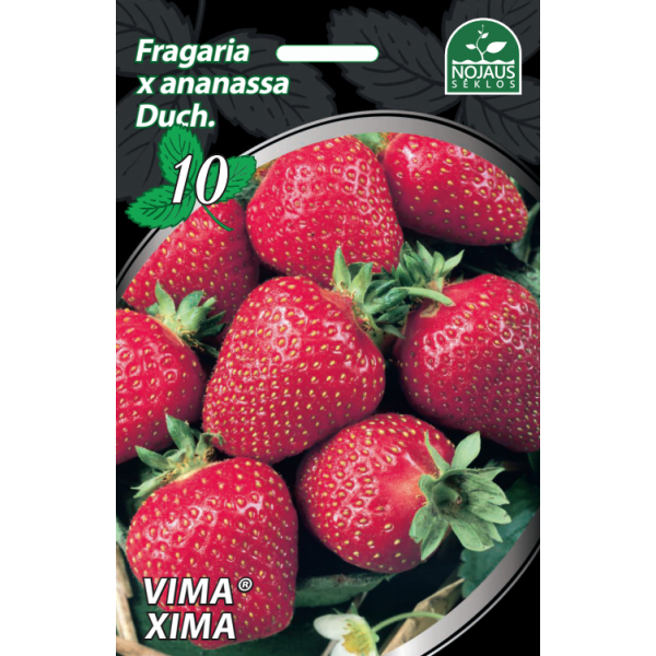 Braškės Vima® Xima 10vnt