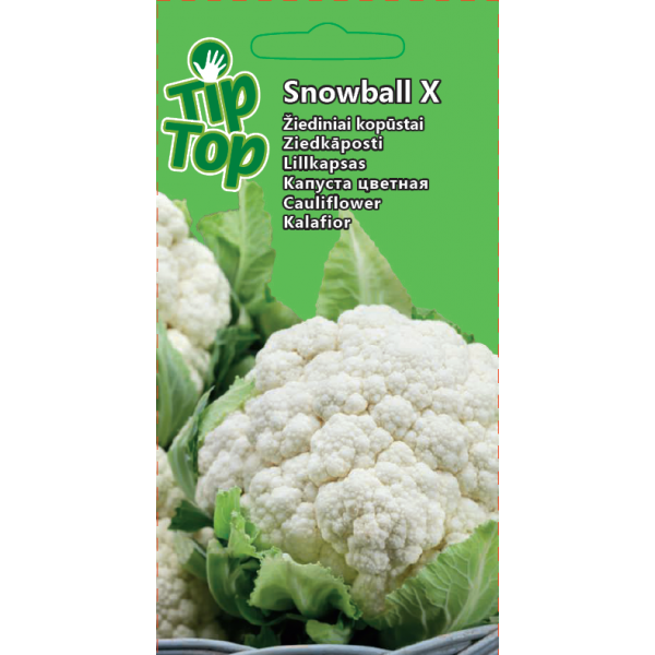 TIP TOP Žiediniai kopūstai Snowball X