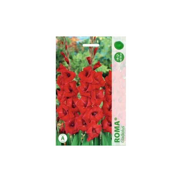 Kardeliai Roma 50sv MEGA PACK